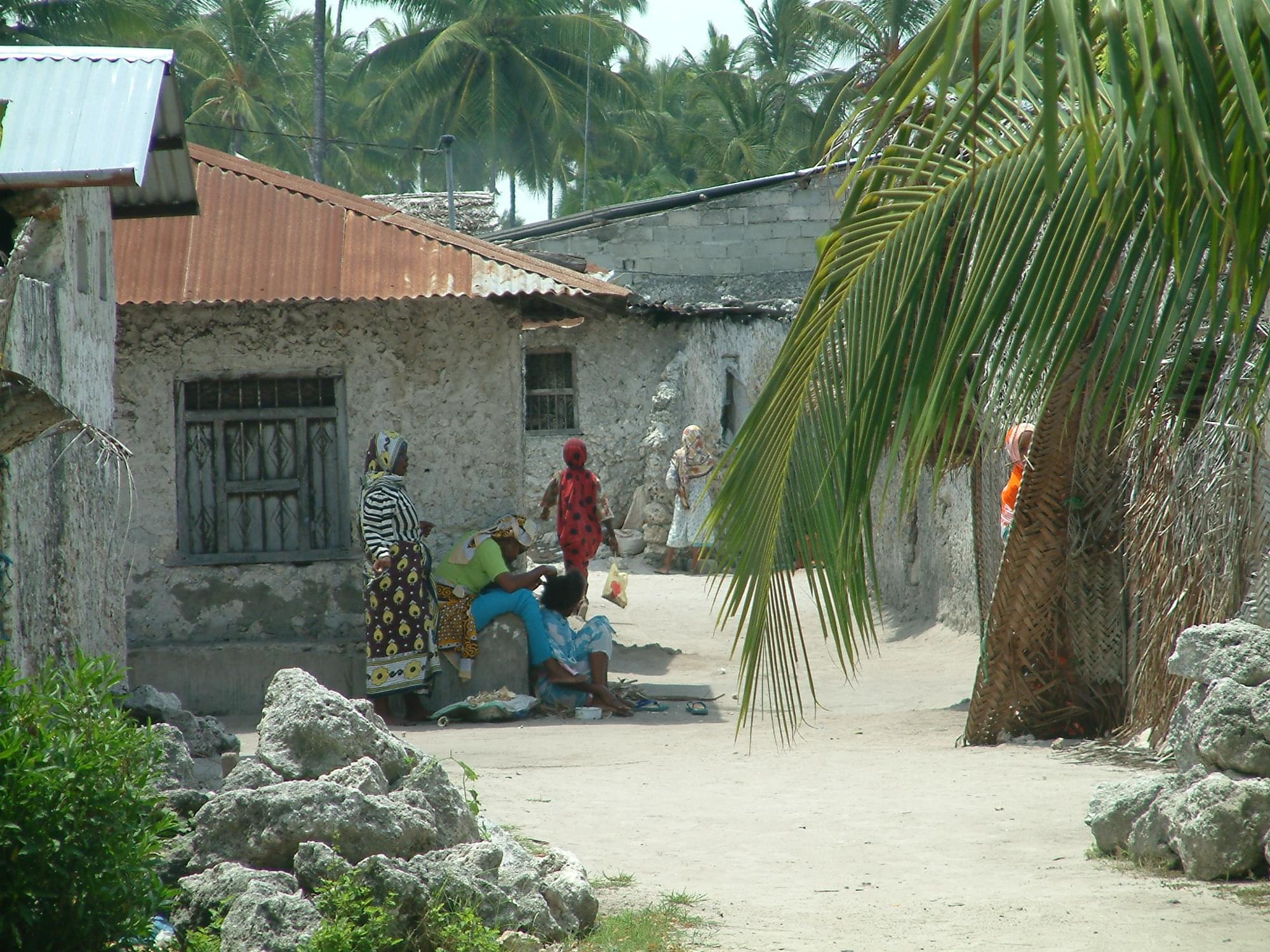 20040129   Zanzibar 204